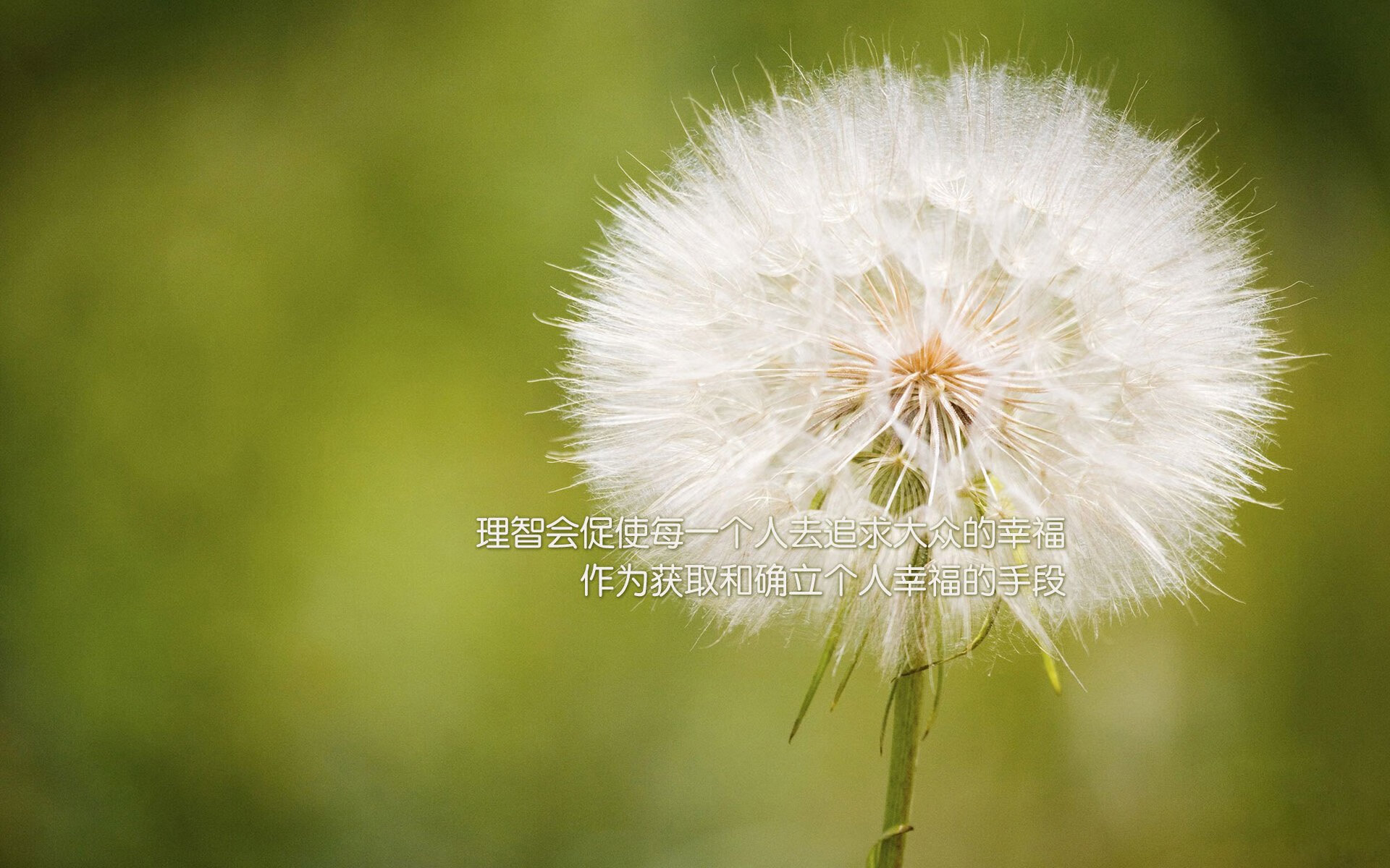 中国男篮体能训练强度升级 备战国际硬仗，中国男篮练兵