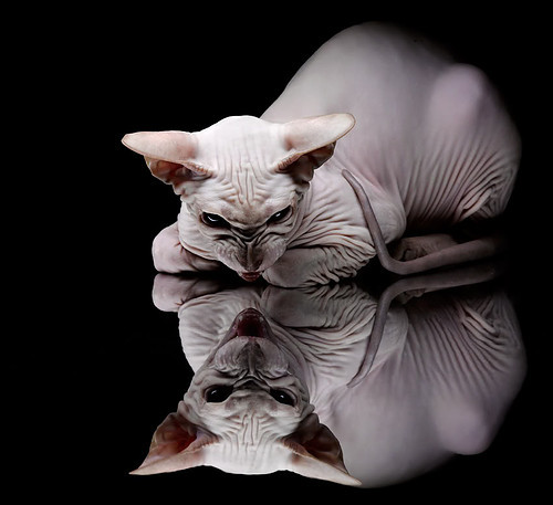 中国男篮体能训练强度升级 备战国际硬仗，中国男篮练兵