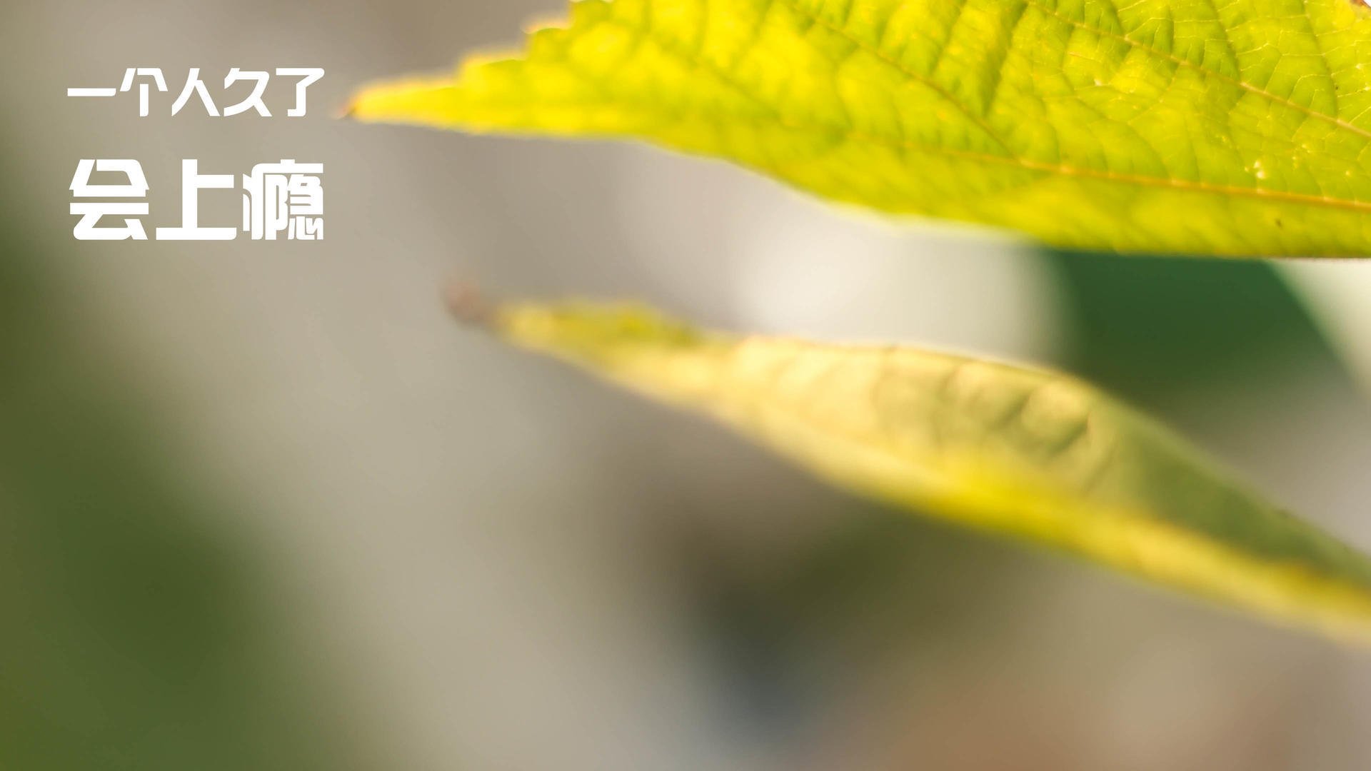 花样滑冰技术动作更加精湛，花样滑冰 技术动作