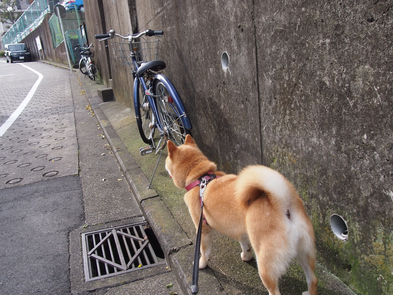 世界杯巅峰对决:激烈战场,精彩纷呈!,世界杯经典比赛视频